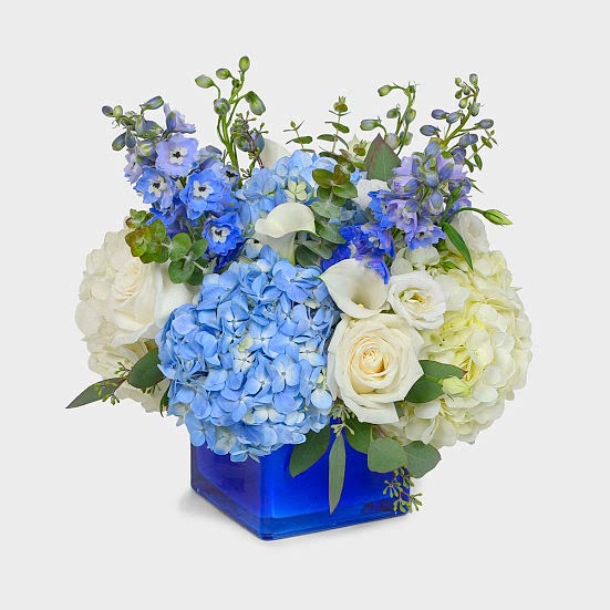 Sapphire Hydrangeas