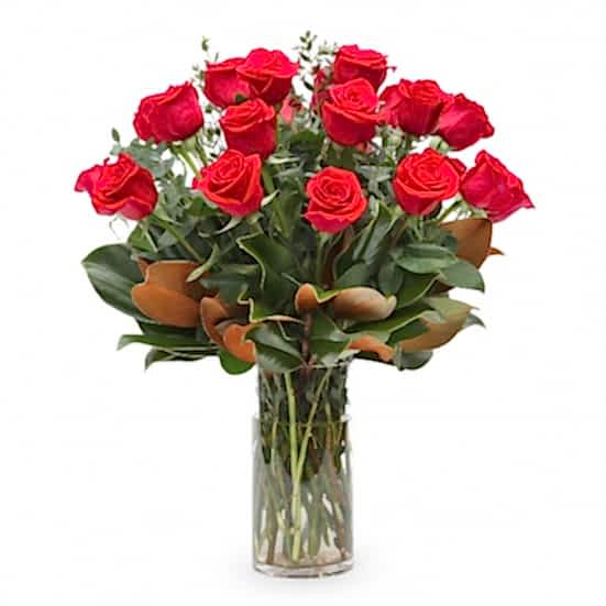 2-Dozen Elegant Roses  Anniversary