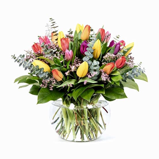 Multicolor Tulip Garden  Best Sellers