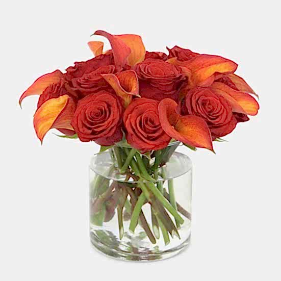 Chelsea  Valentine's Day