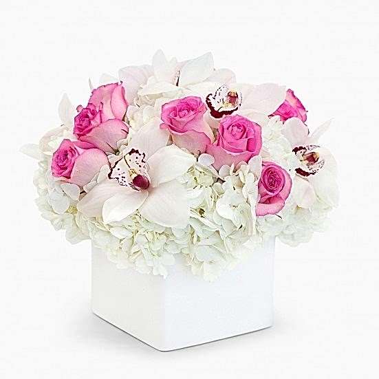 Pretty Woman Hydrangeas