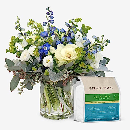 Blue Diamonds + PlantShed Coffee Lisianthus