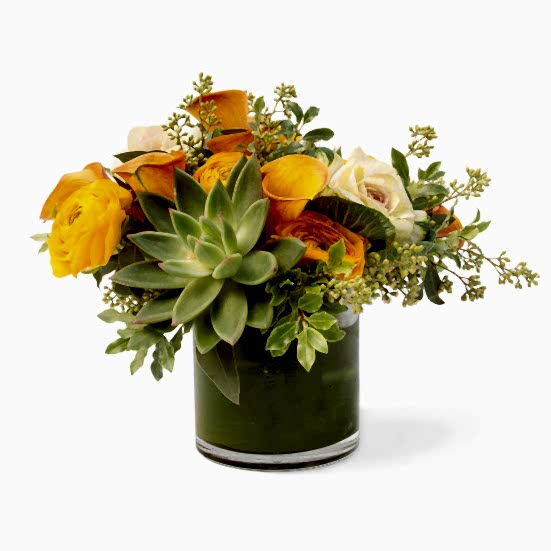 Evelyn Ranunculus