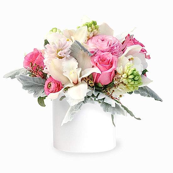 Smitten Orchids
