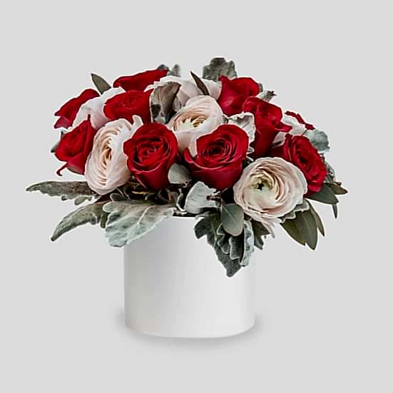 Maraschino Ranunculus