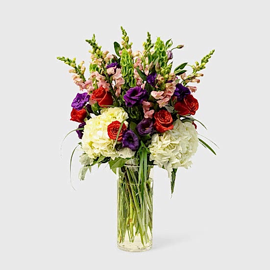 Catarina Lisianthus