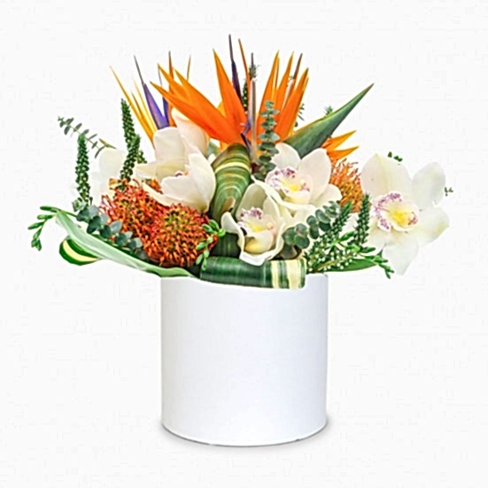 Mahalo Proteas