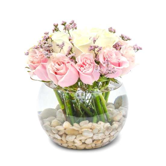 Pristine Just Roses