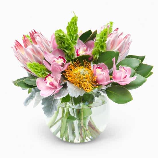 Hawaiian Hues Proteas