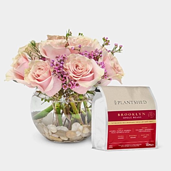Make Me Blush + PlantShed Coffee Housewarming