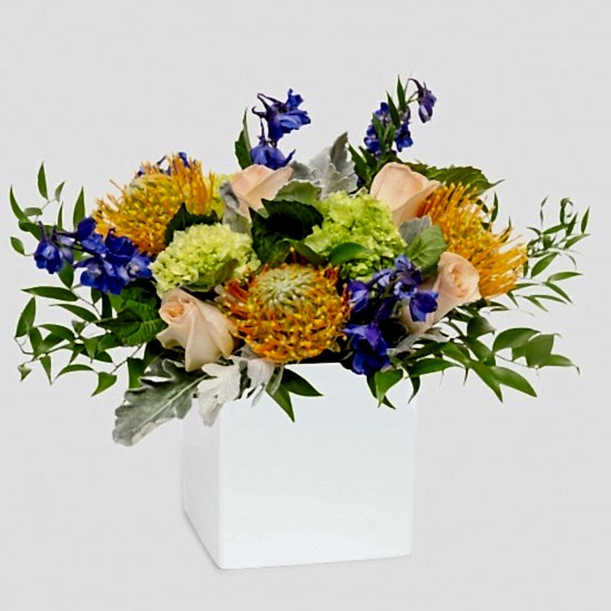 Montauk Proteas