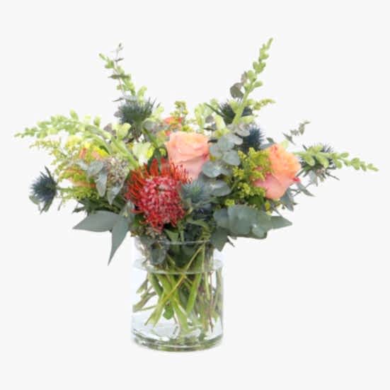 Sun & Sea Proteas
