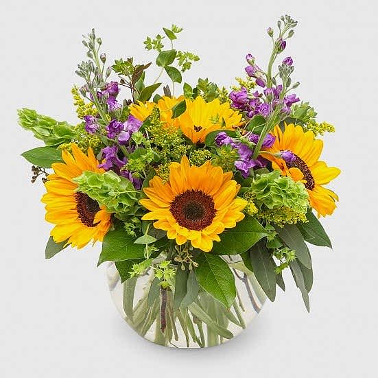Sag Harbor Sunflowers