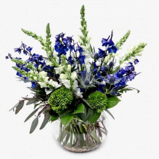 Moonburst Delphinium