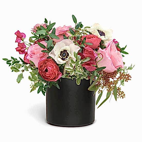 Pretty in Pink Ranunculus