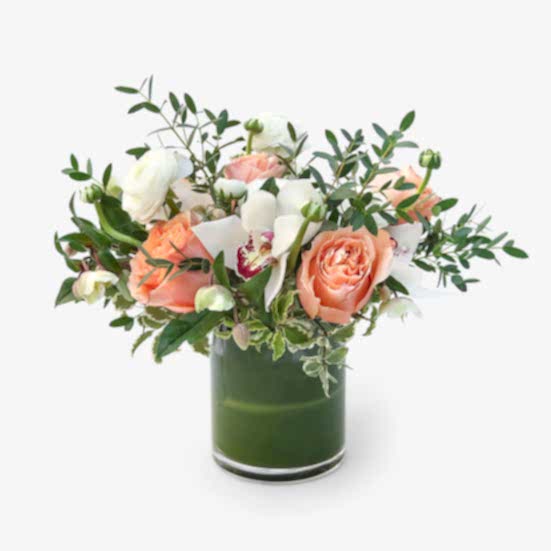 Holding Hands Ranunculus