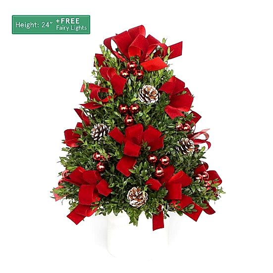 Decorated Boxwood Tree Christmas Shop