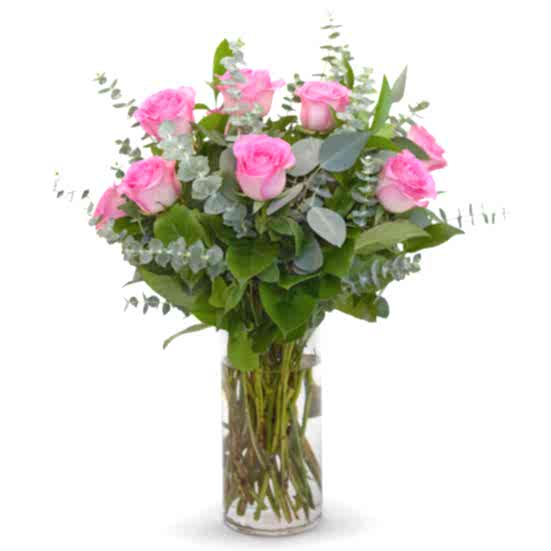 1-Dozen Pink Roses  Just Roses
