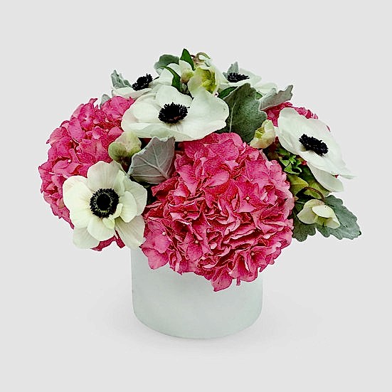 Swoon Hydrangeas