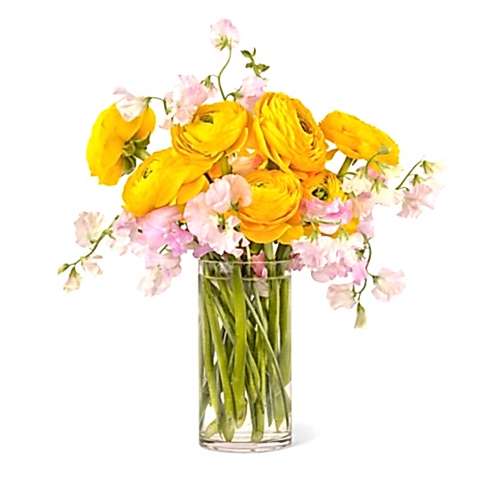 Welcome Sunshine Ranunculus