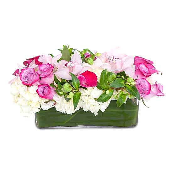 Blush Blossoms  Business Gifting