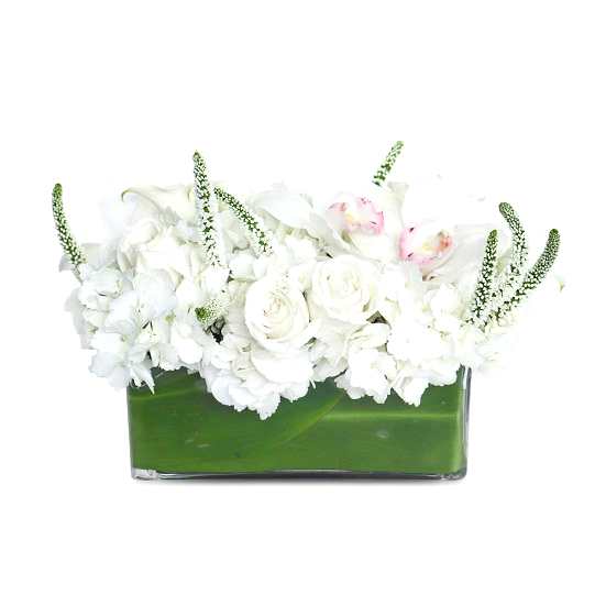Isle of White  Business Gifting