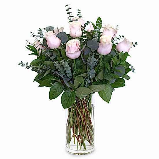 1-Dozen Soft Pink Roses Just Roses