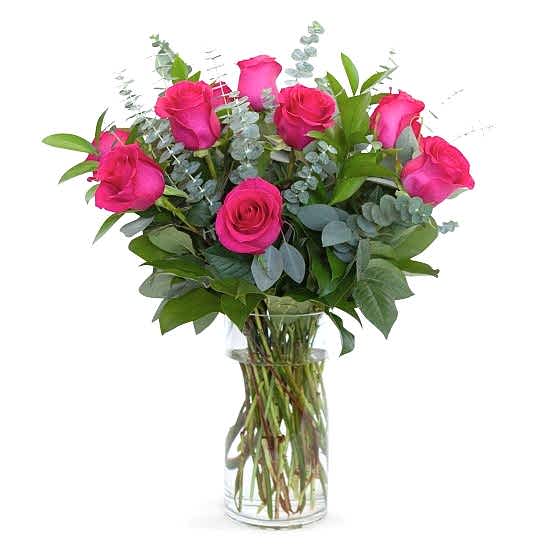 1-Dozen Bright Pink Roses Just Roses