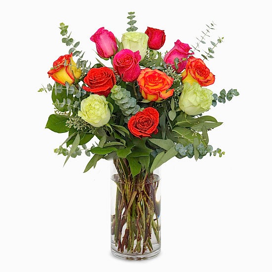 1-Dozen Multicolor Roses Just Roses