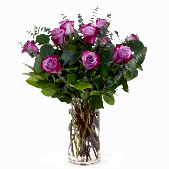 1-Dozen Deep Purple Roses Just Roses