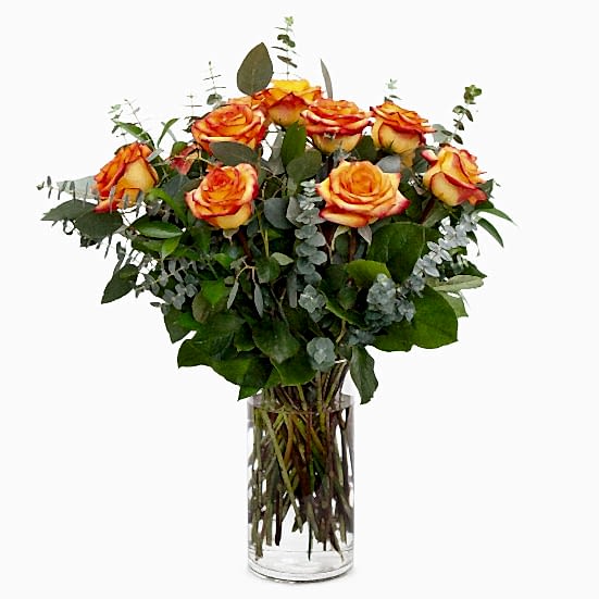 1-Dozen Bicolor Roses Just Roses