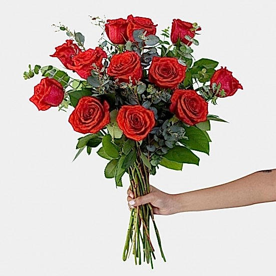 1-Dozen Red Rose Bouquet Valentine's Day