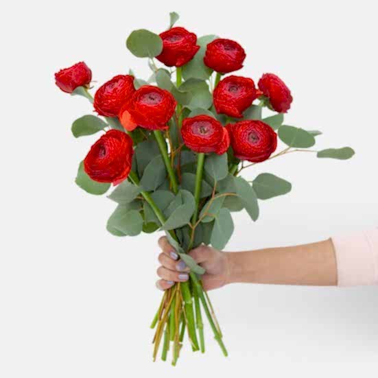 Fire Red Ranunculus Bouquet Ranunculus