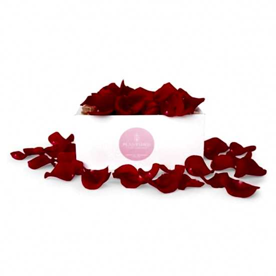 Red Rose Petals Box Anniversary