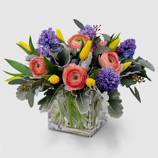 Spring Fever Ranunculus