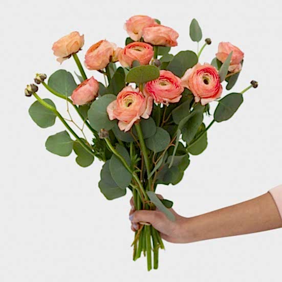 Peach Ranunculus Bouquet Ranunculus
