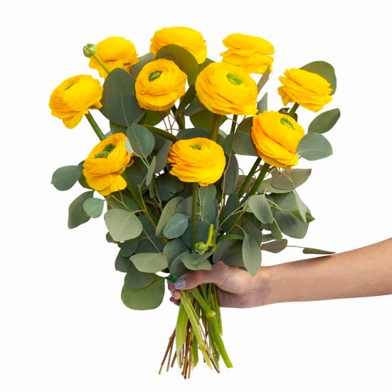 Yellow Ranunculus Bouquet Ranunculus