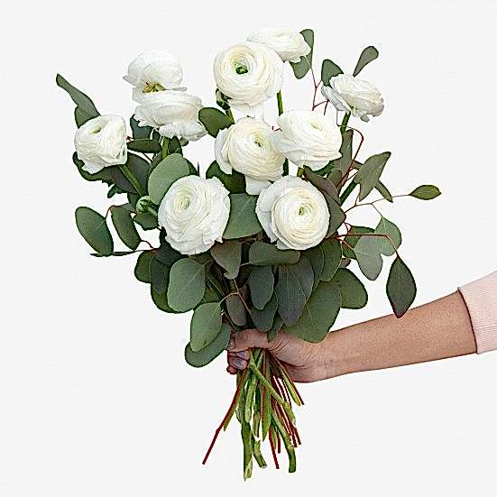 White Ranunculus Bouquet Ranunculus