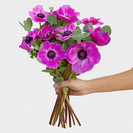 Fuchsia Anemone Bouquet Bouquets