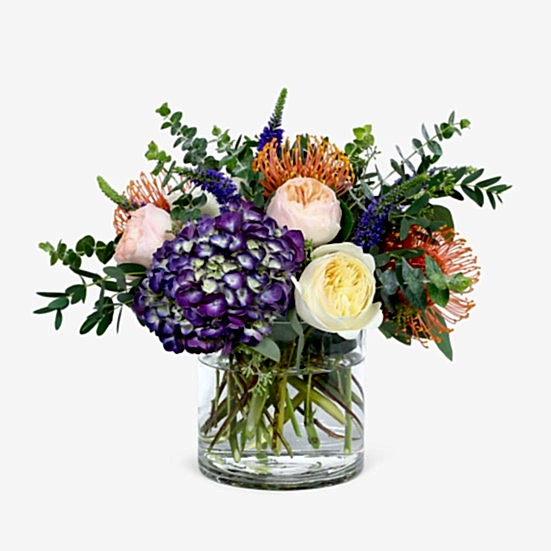 Aurora Proteas