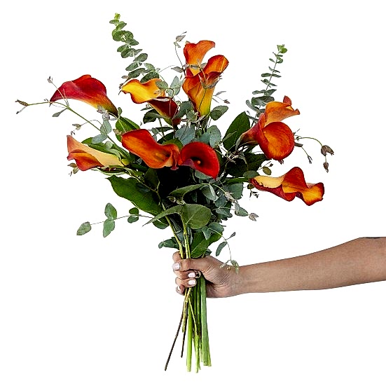 Mango Calla Lily Bouquet Bouquets
