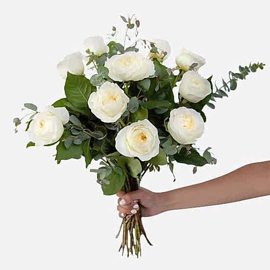 White Garden Rose Bouquet Just Roses