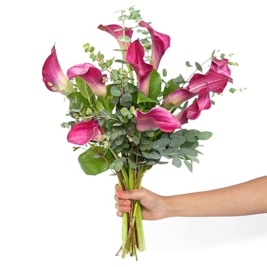 Dark Pink Calla Lily Bouquet  Bouquets