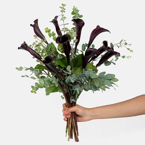 Black Calla Lily Bouquet Bouquets