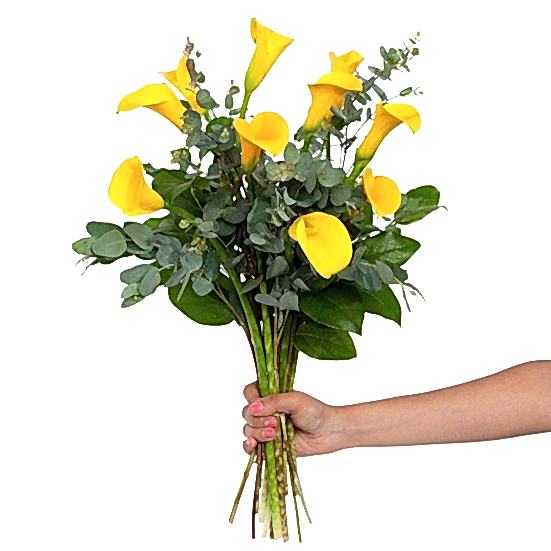 Yellow Calla Lily Bouquet Bouquets