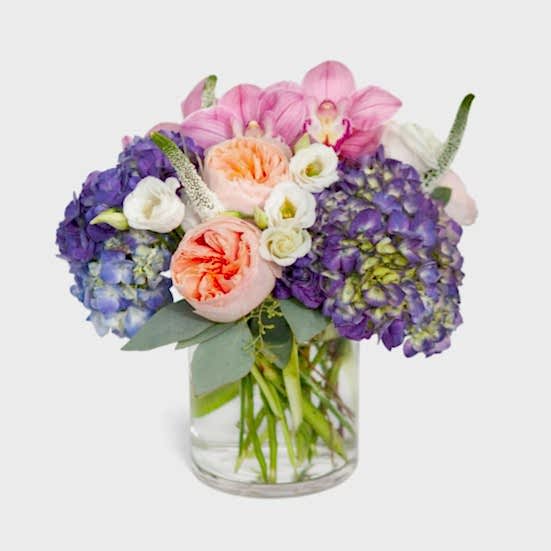 Stella Lisianthus