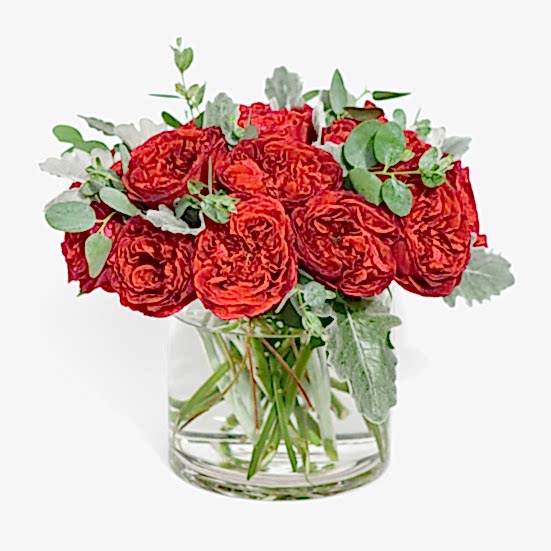 Tess Just Roses