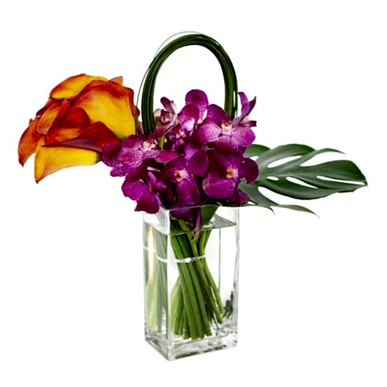 Kona  Orchids