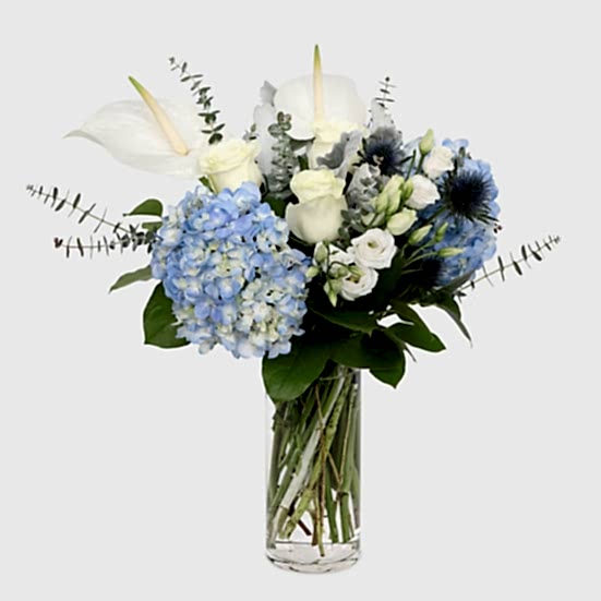 Winnie Hydrangeas