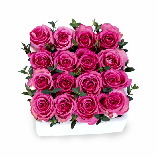 Pink Rose Garden Just Roses